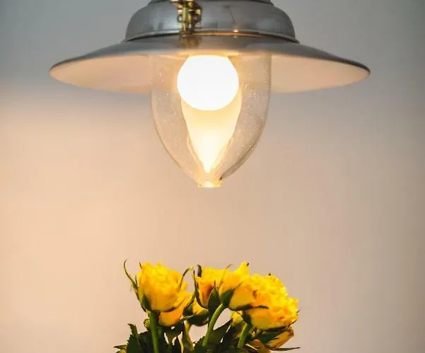 Appartement Casa De Kit *